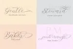 Article Script Font