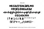 Artisan Brush Font