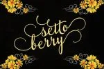 Aslang Barry Font