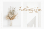 Assakita Font