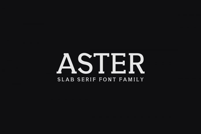 Aster Slab Serif Font Family