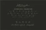 Astonish Font