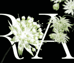 Astrance Font