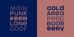 Atelier Champs Libres Corporate Fonts