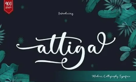 Autige Monoline Script Font