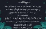 Autige Monoline Script Font