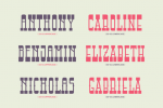 Attractive Slender Font