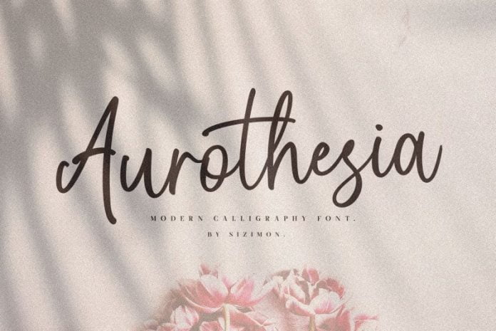 Aurotheisa Casual Chic Font Duo!