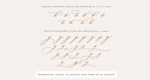 Auteur Script Font