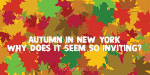 Autumn Voyage Font Family