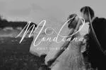 Avelline Modern Calligraphy Font