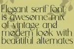 Avocado - Serif Font