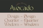 Avocado - Serif Font