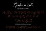 Awkward Font