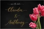 Axellaria Font