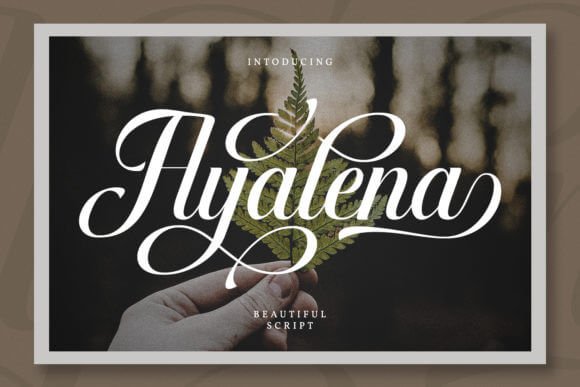 Ayalena Font