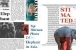 BD Megalona Text Serif Font Family