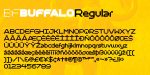 BF Buffalo Font