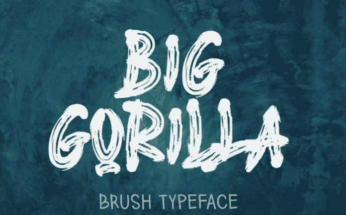 BIG GORILLA - Brush Typeface1