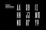 BISMARK - Display Logo Typeface