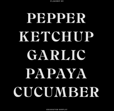 BN Flagship Font