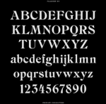 BN Flagship Font