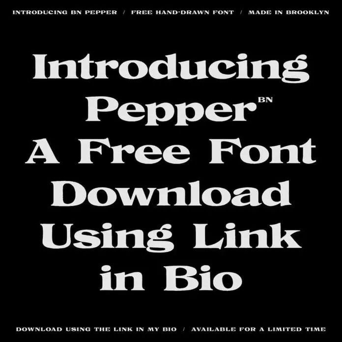 BN Pepper font