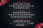 Black Letter Curve Font