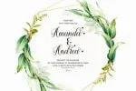 Baby Amanda Font