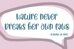 Baby Louise Font