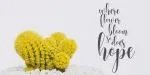 Babylove Font