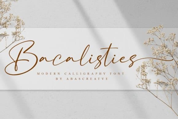 Bacalisties - Modern Calligraphy Font