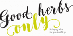 Bach Font Family