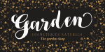 Bach Font Family