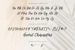 Backhome Brush Font