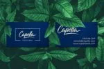 Backscatter Font