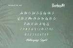 Backscatter Font