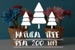 Bad Tolerance Font