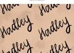 Badhie Dope Font