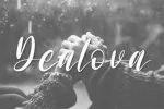 Bagiles Script - Handwritten Font