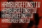 Bahn Thin Font