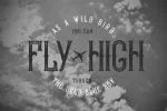 Bald Eagle Font