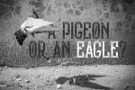 Bald Eagle Font