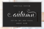 Balerina Script Font