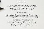 Balerina Script Font
