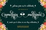 Baligline Beauty Font