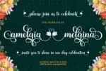Baligline Beauty Font