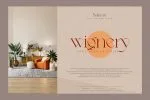 Balinest Font