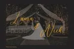 Ballegand Modern Script Font