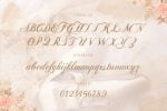 Balleria Font
